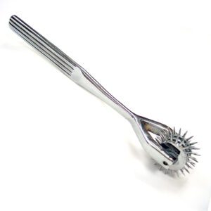 A metal tool with a spiked roller, known as a Wartenberg pinwheel.