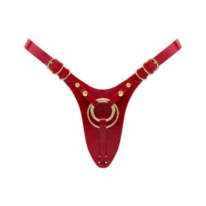 Red leather harness with gold rings and buckles.